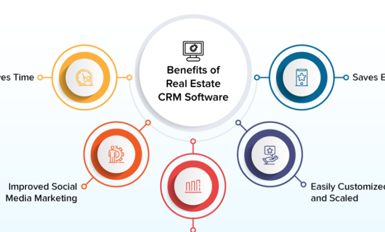 Cost-Effective Realtor Software That Delivers Results